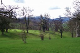 Bergklub: Murenberg (531 m.ü.M.)